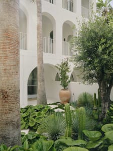 A modern building with a patio area featuring a variety of plants, including cacti and palm trees, in pots, creating a lush and inviting atmosphere with natural light from the windows