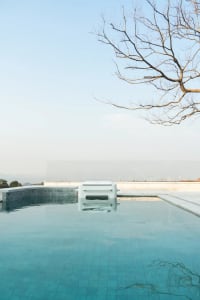 A serene pool scene with a tree branch overhead, surrounded by a deck and a bench, set against a residential backdrop