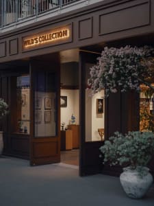 Evening view of Wild's Collection boutique entrance featuring dark wood facade, illuminated sign, open doorway revealing gallery interior, and large potted flowering plants.