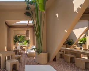 Open-air courtyard lounge featuring raw concrete stools, benches, and large planters with tall tropical plants under a bright skylight.