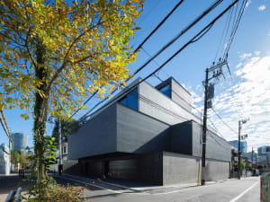 Street view of a modern multi-story concrete residential building with cubic forms, large glass windows, and horizontal lines, surrounded by power lines and autumn trees.