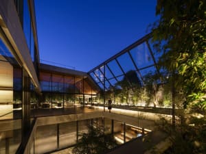 Night view of a modern luxury residence featuring a massive glass-walled courtyard atrium, concrete terraces, and lush indoor garden lighting.