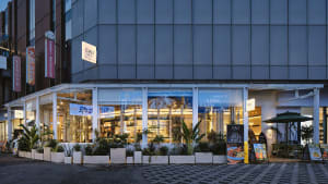 Modern glass facade of Cali Cali cafe at dusk, featuring white structural frames, abundant potted tropical plants along the sidewalk, and warm interior lighting visible through large windows.
