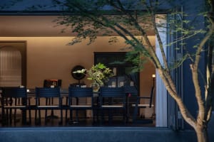 Modern minimalist dining room with dark blue wooden chairs and table, viewed through Japanese maple tree branches at dusk with warm interior lighting