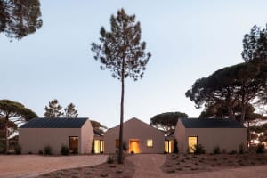 Modern minimalist stucco villa with dark gabled roofs surrounded by tall pine trees at dusk, with warm interior lighting visible through windows and doors.
