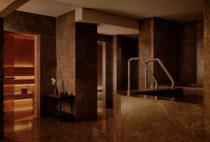 Luxurious spa interior featuring dark marble walls, a raised private pool with stainless steel handrails, and an open cedar sauna room with warm backlighting.