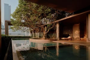 Modern rooftop terrace featuring an infinity pool wrapped around a large preserved tree, with wooden deck, lounge chairs, and city skyline in the background.