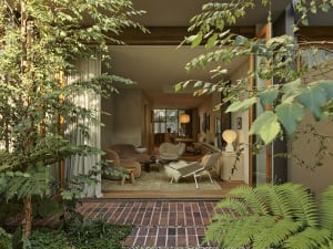 View from a lush garden with ferns and trees looking into a modern indoor-outdoor living room featuring brown sofas, woven chairs, and warm wooden details.