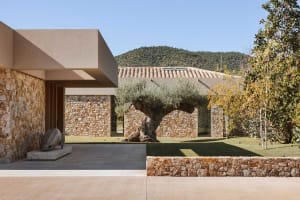 Modern stone courtyard featuring a large ancient olive tree, textured stone walls, concrete overhang, and a sculptural piece on a pedestal with rolling hills in the background.
