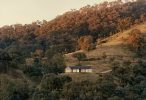 Modern single-story house with dark roof and corten steel accents, situated on a grassy hillside surrounded by dense eucalyptus forest during golden hour.