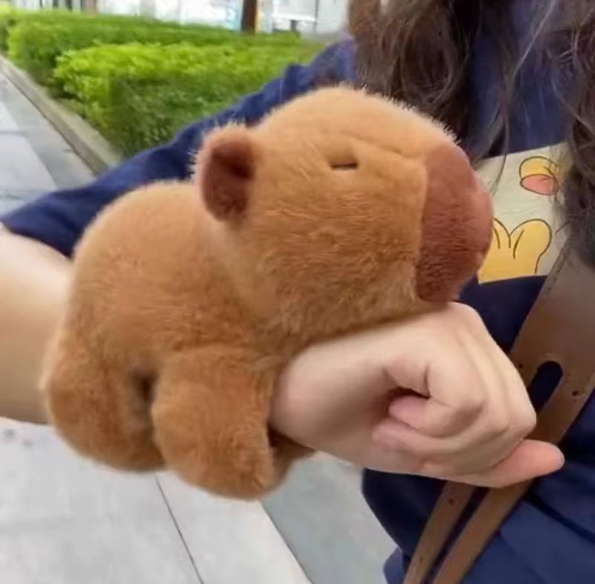 Pulsera De Capybara