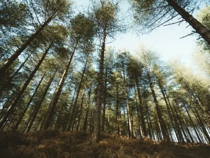 Прогноз погоды на 9 ноября в Ижевске