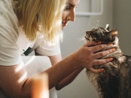 В Ижевске 15 февраля пройдёт вакцинация домашних животных на прикарантинной территории