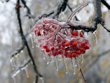 Оперативное предупреждение