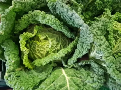 Не проходите мимо савойской капусты
