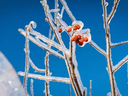 Ледяной дождь и его последствия для города