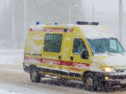 В Перми возбудили уголовное дело по факту вспышки сальмонеллёза