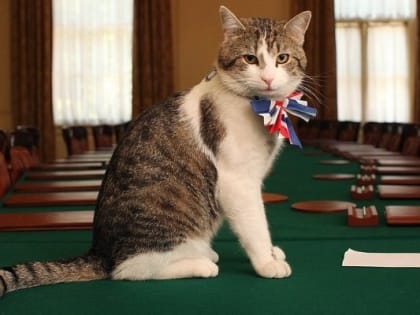 Власть в Британии временно узурпировал кот Ларри