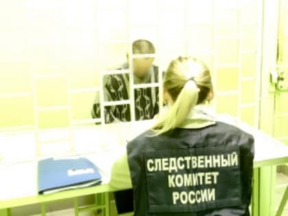 В Шарканском районе местный житель предстанет перед судом за причинение односельчанину тяжкого вреда здоровью, повлекшего его смерть