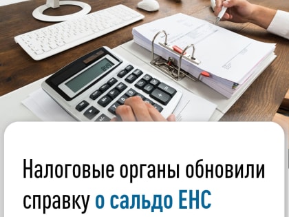 Налоговые органы обновили справку о сальдо ЕНС