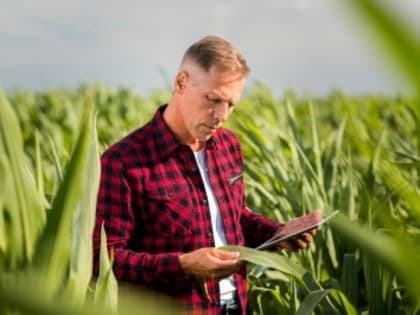 Бесплатное обучение для граждан в рамках федерального проекта