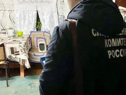 Житель Алнашского района ударил жену и отправился в колонию строгого режима