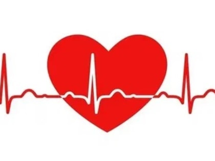 Отказ от алкоголя - профилактика болезней сердца и сосудов