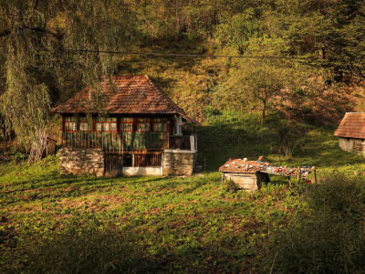 Portfolio image from Peisaje category