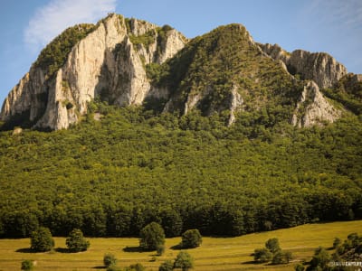Portfolio image from Peisaje category