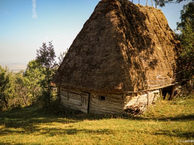 Portfolio image from Peisaje category