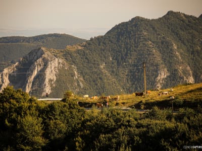Portfolio image from Peisaje category