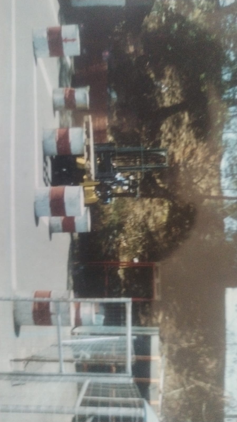 GT Rainbow Driving School - Our Success