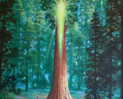 The Inner Side of Nature