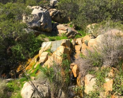 Singing Springs Trail