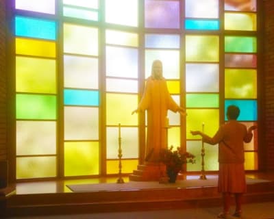 Flower’s Approach to the Christ Statue