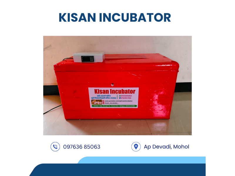 Egg Incubator Services for Higher Hatch Rate