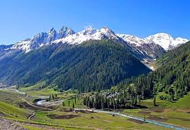 Sonamarg meadow 2