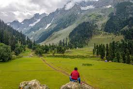 Sonamarg meadow 3