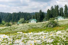 Yusmarg meadow 3