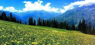 Yusmarg meadow 2