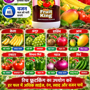 रिच फ्रुट किंग -1 लिटर