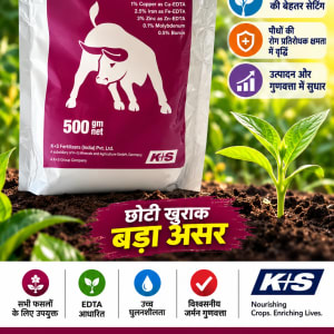 Solutemix-2-500gm