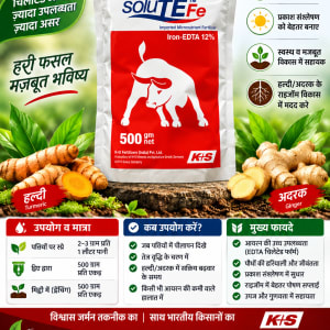 SoluTEFe -EDTA 12%~500gm 