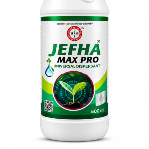 🌱 झेपा 500ml 