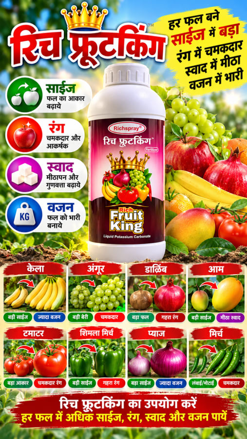 रिच फ्रुट किंग -1 लिटर