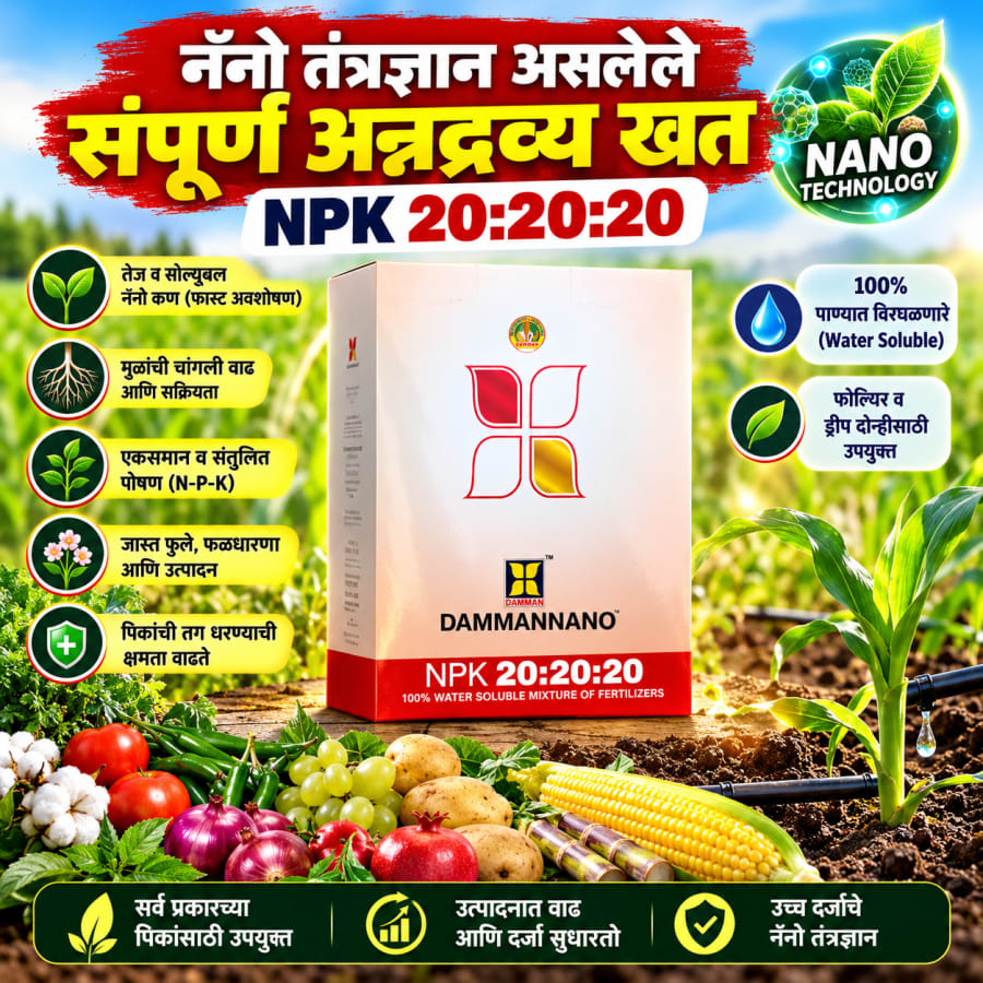 Daman-20-20-20 -200gm