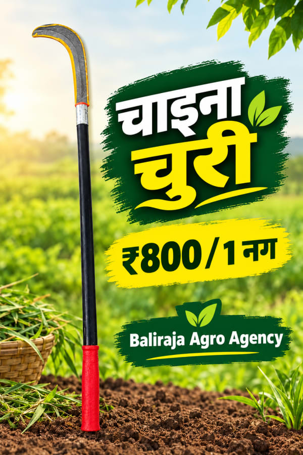 बडी चायना छुरी-2.5फिट -1