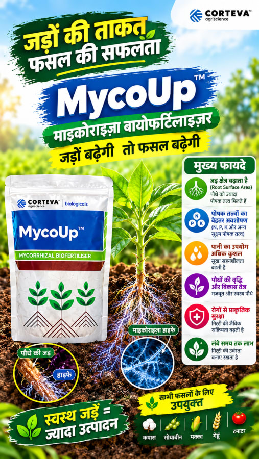 MycoUp -1kg 