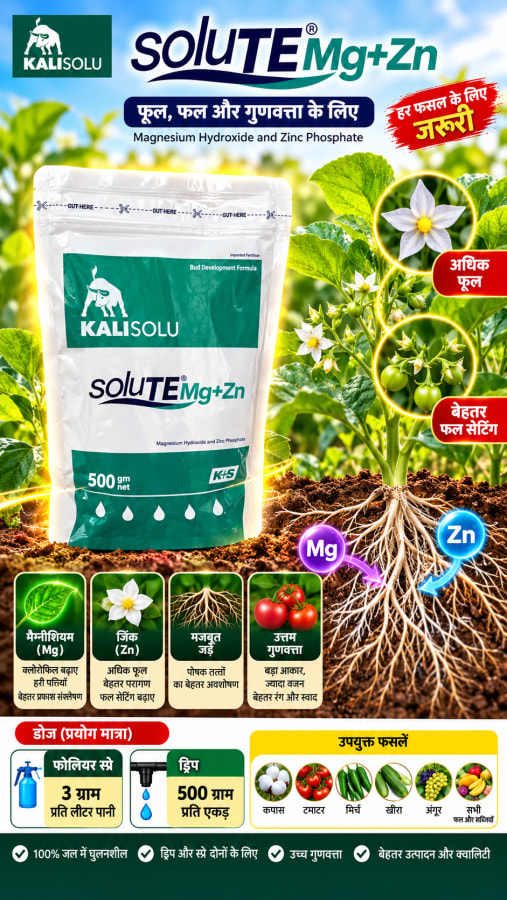 SoluTe-mg+zn -500gm