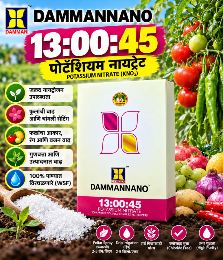 Daman-13:00:45 200 gm